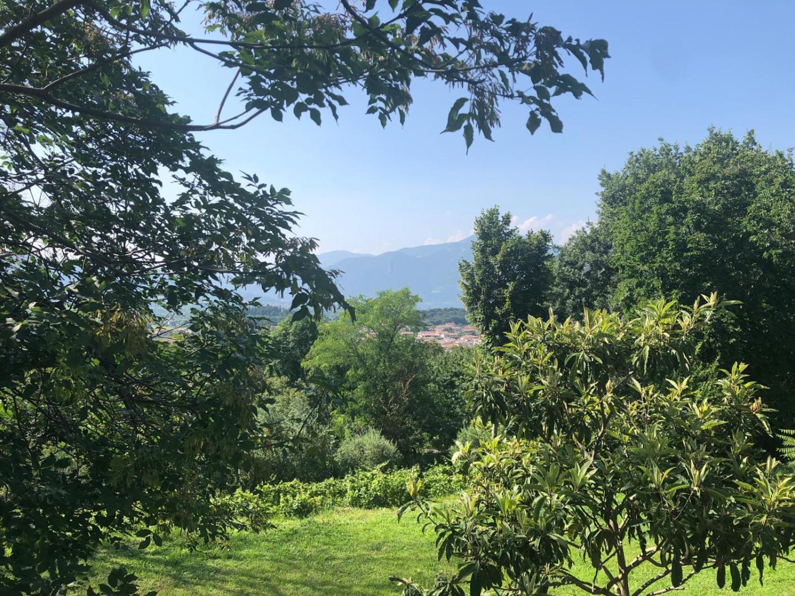 Oasi Franciacorta Guest House Provaglio d'Iseo Exterior photo